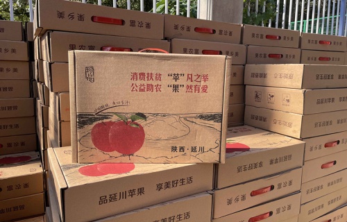 kaiyun“扶贫助农，振兴乡村”活动